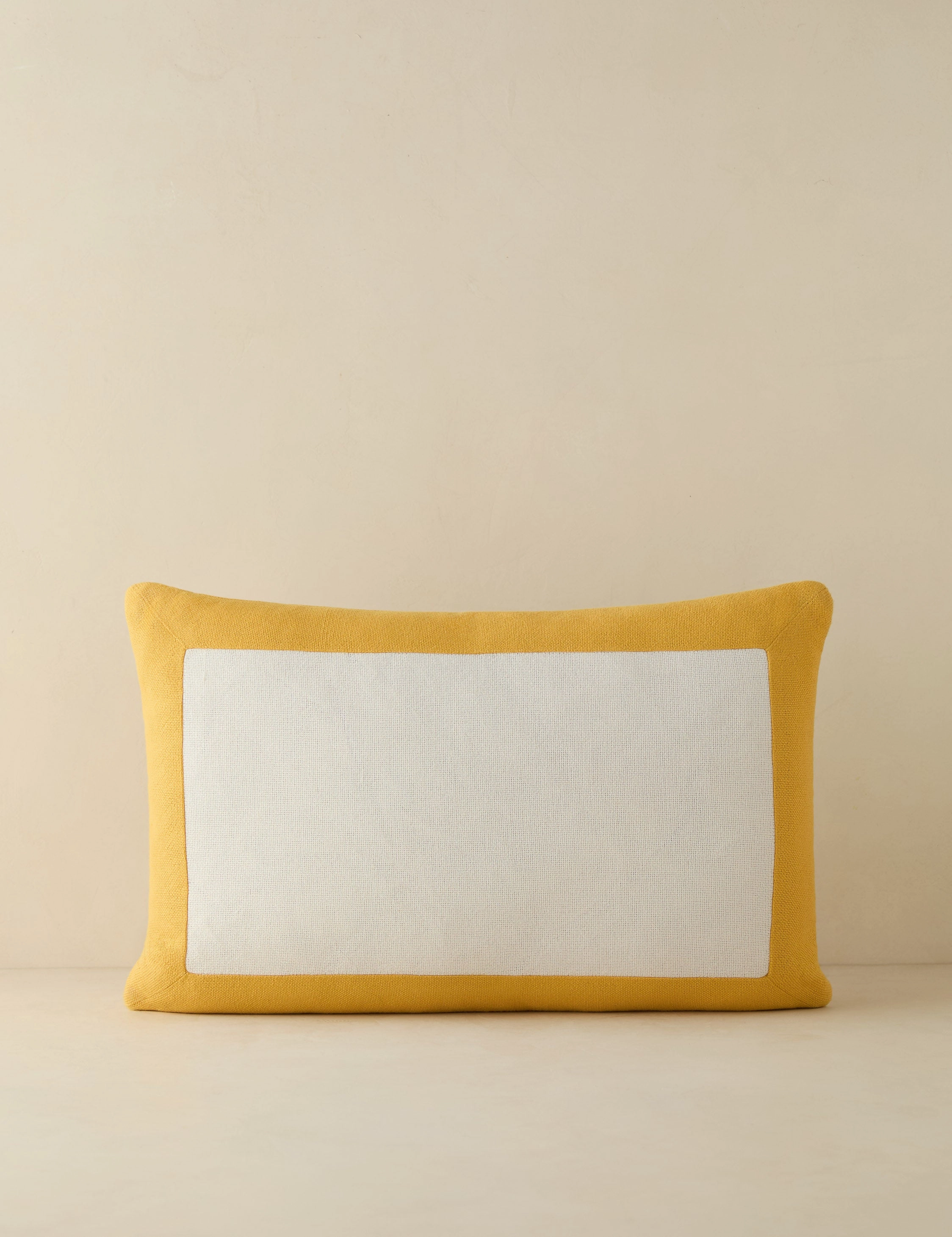 Amica Indoor / Outdoor Pillow