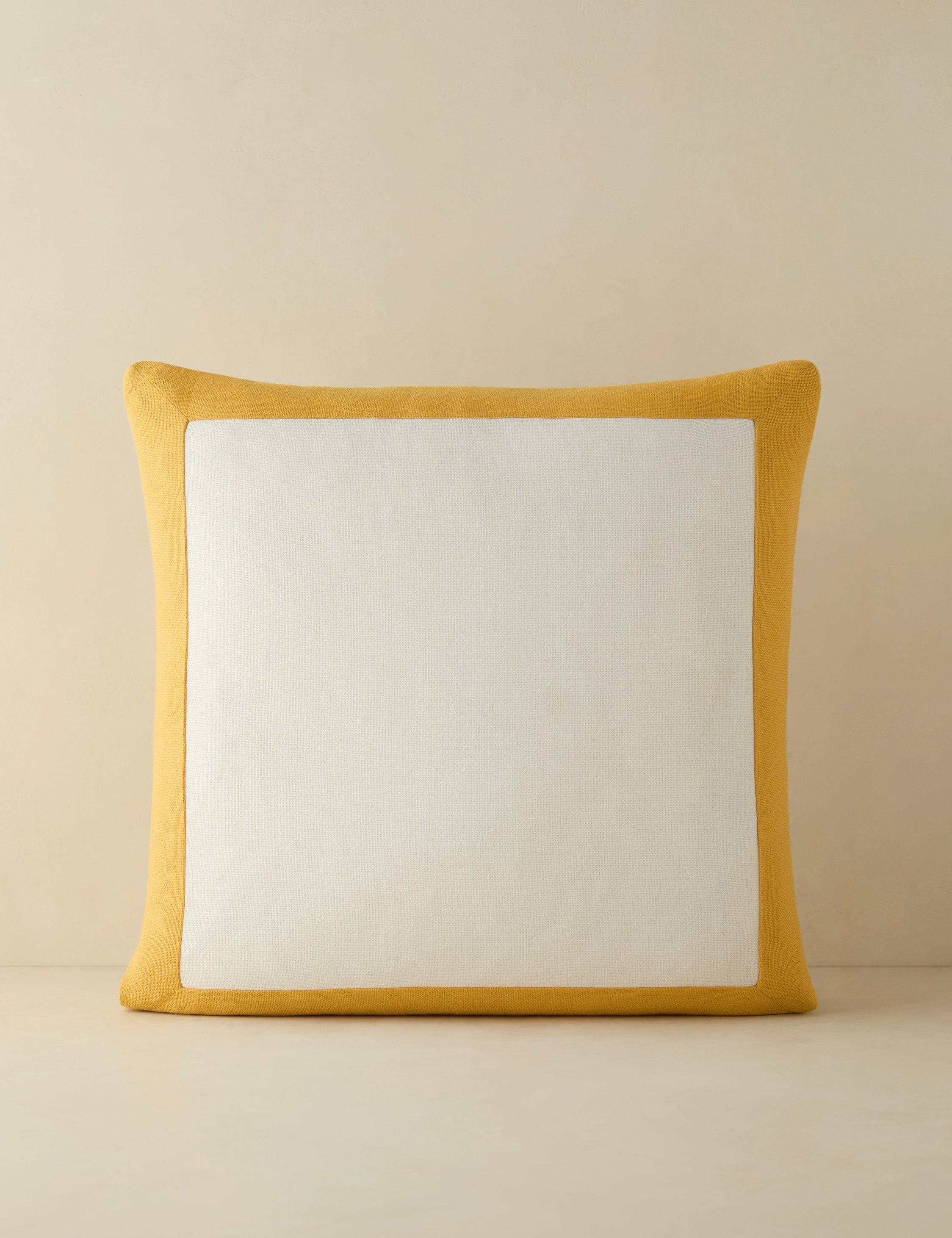 Amica Indoor / Outdoor Pillow