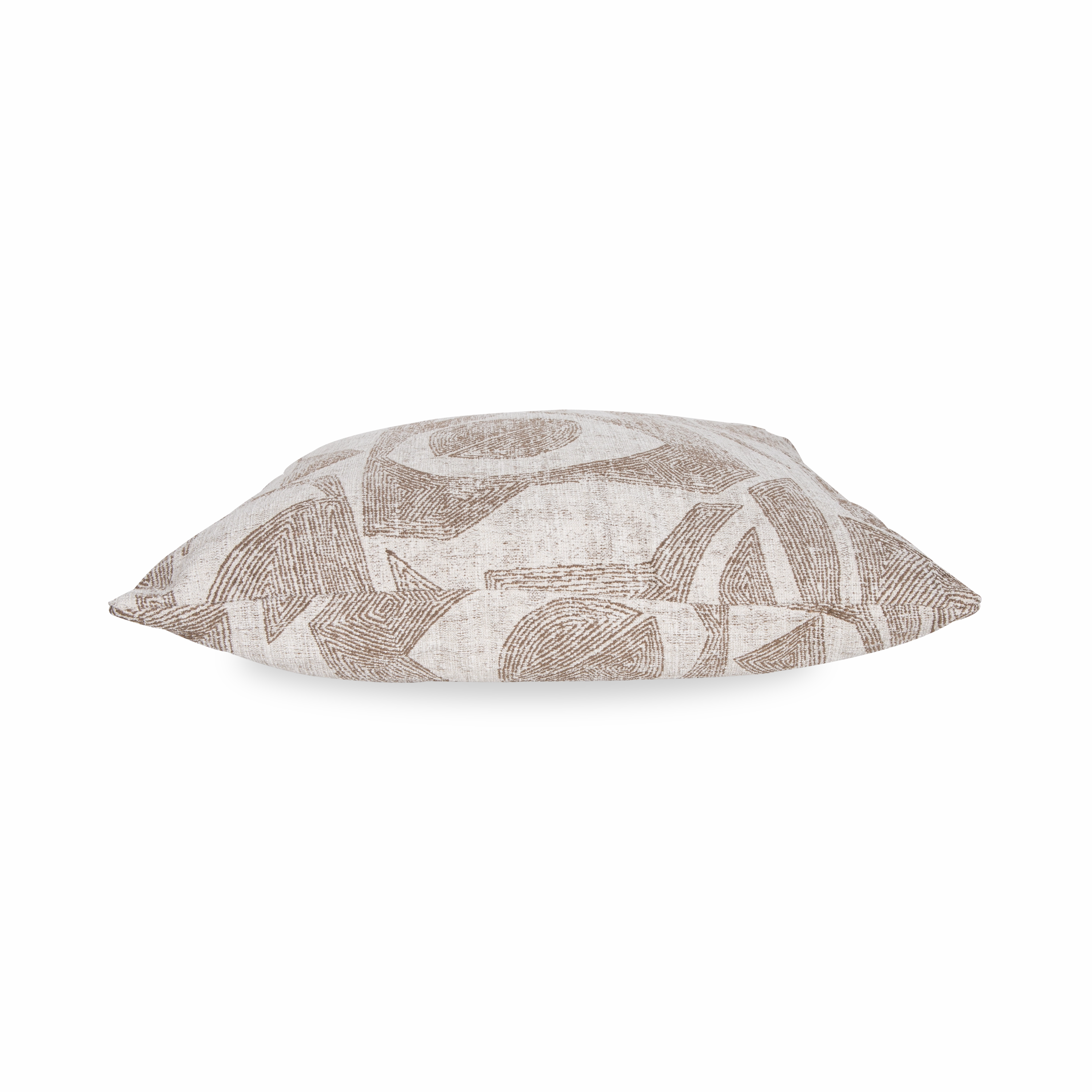 Artefact Pillow