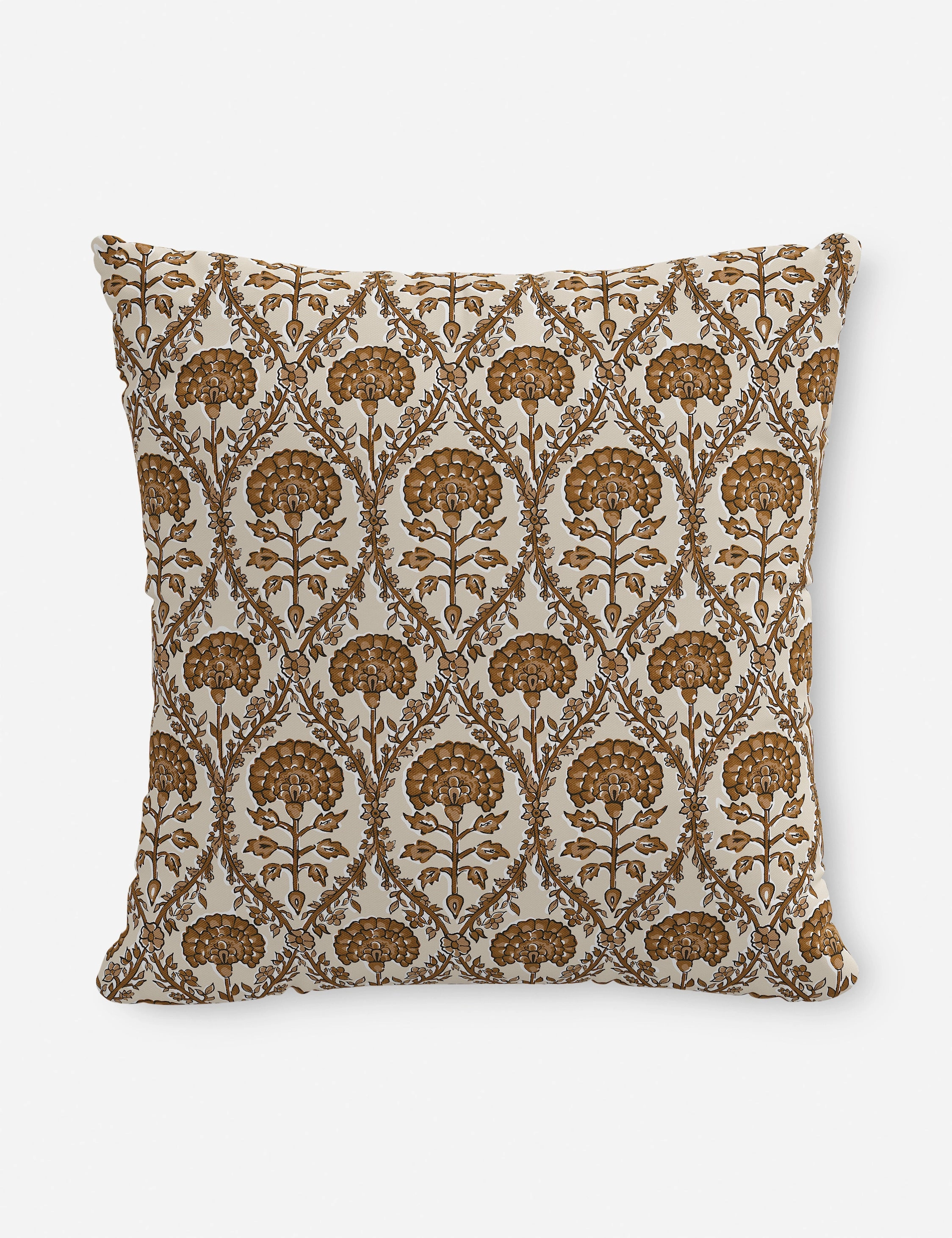 Barrera Indoor / Outdoor Pillow
