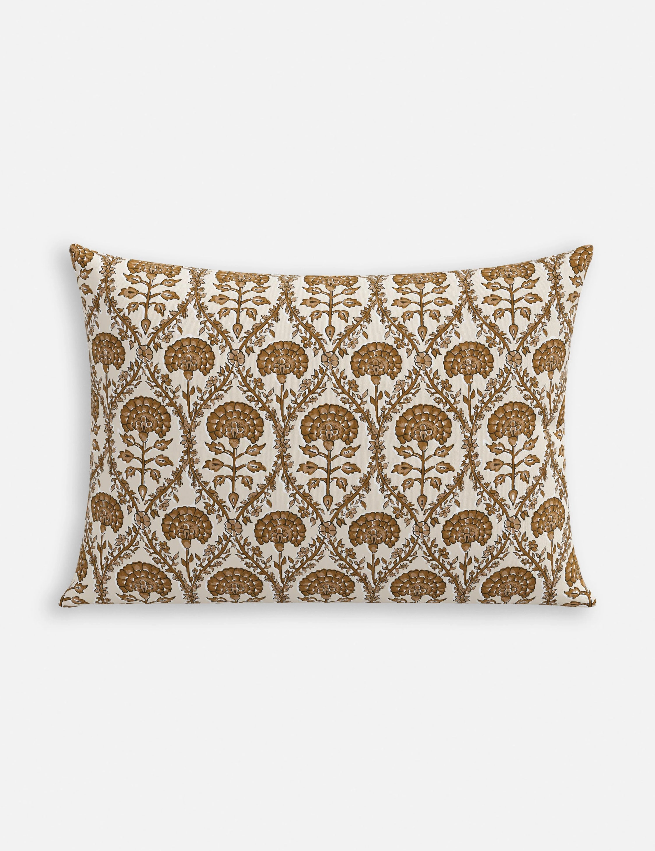 Barrera Indoor / Outdoor Pillow