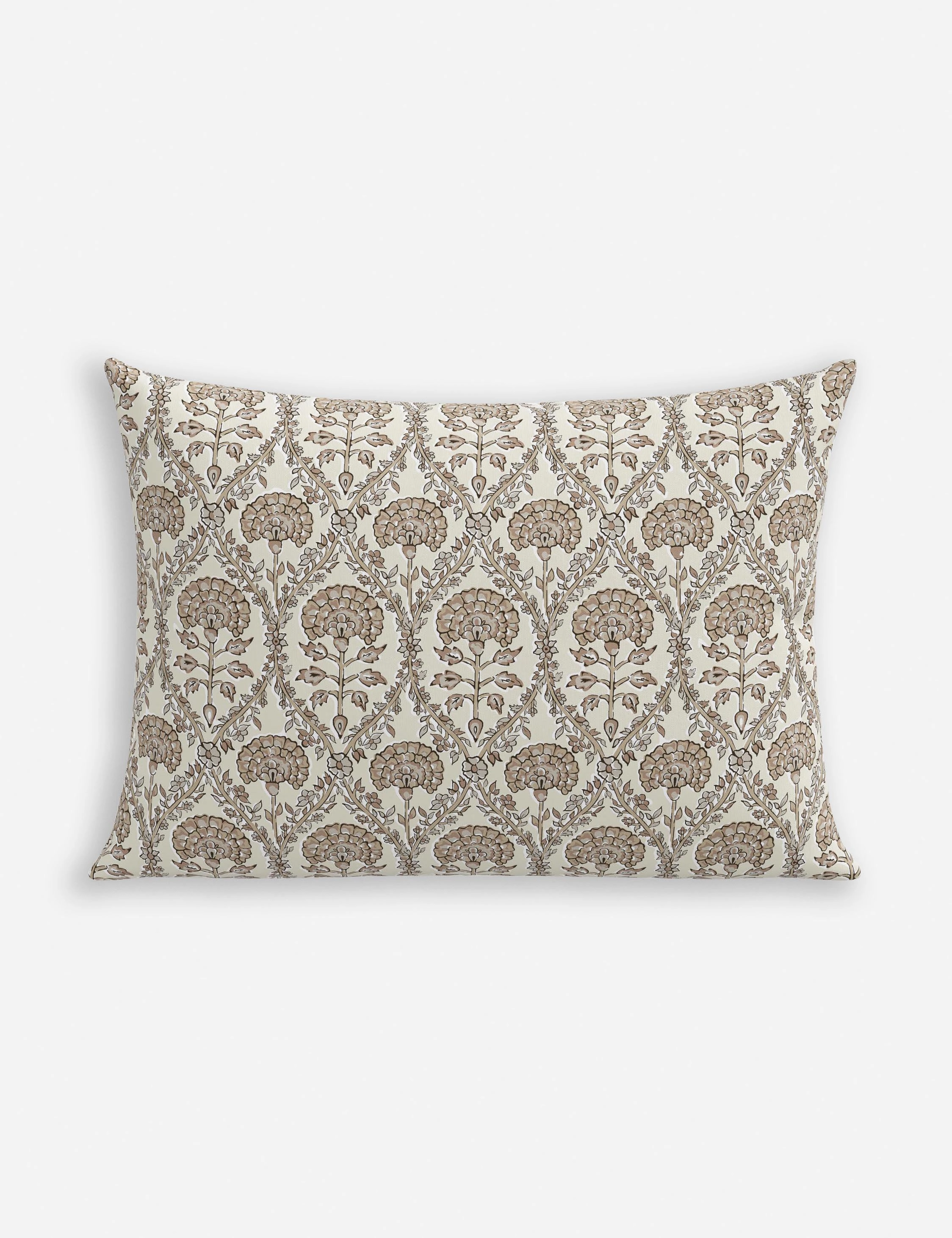 Barrera Indoor / Outdoor Pillow