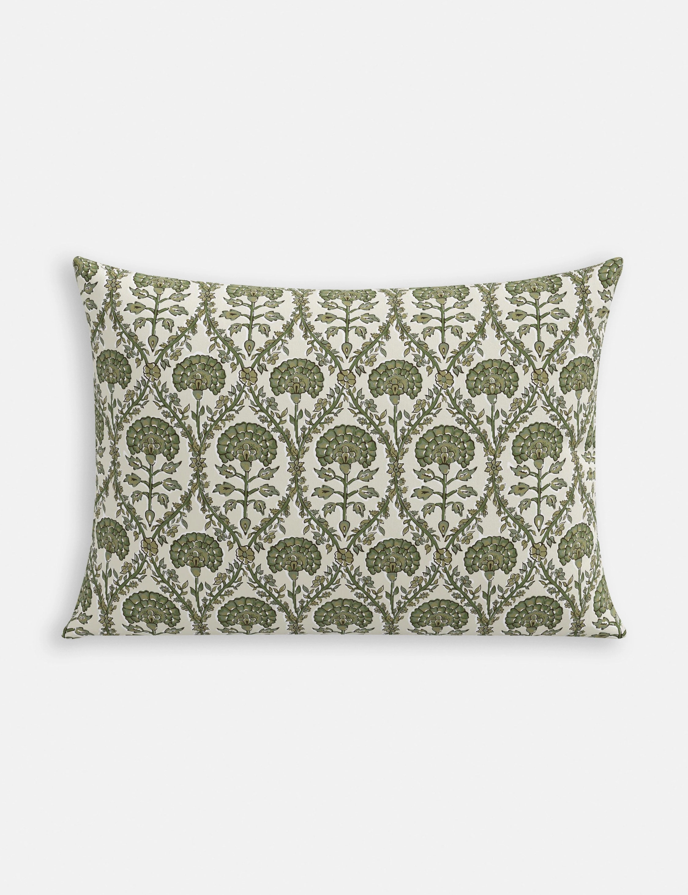 Barrera Indoor / Outdoor Pillow