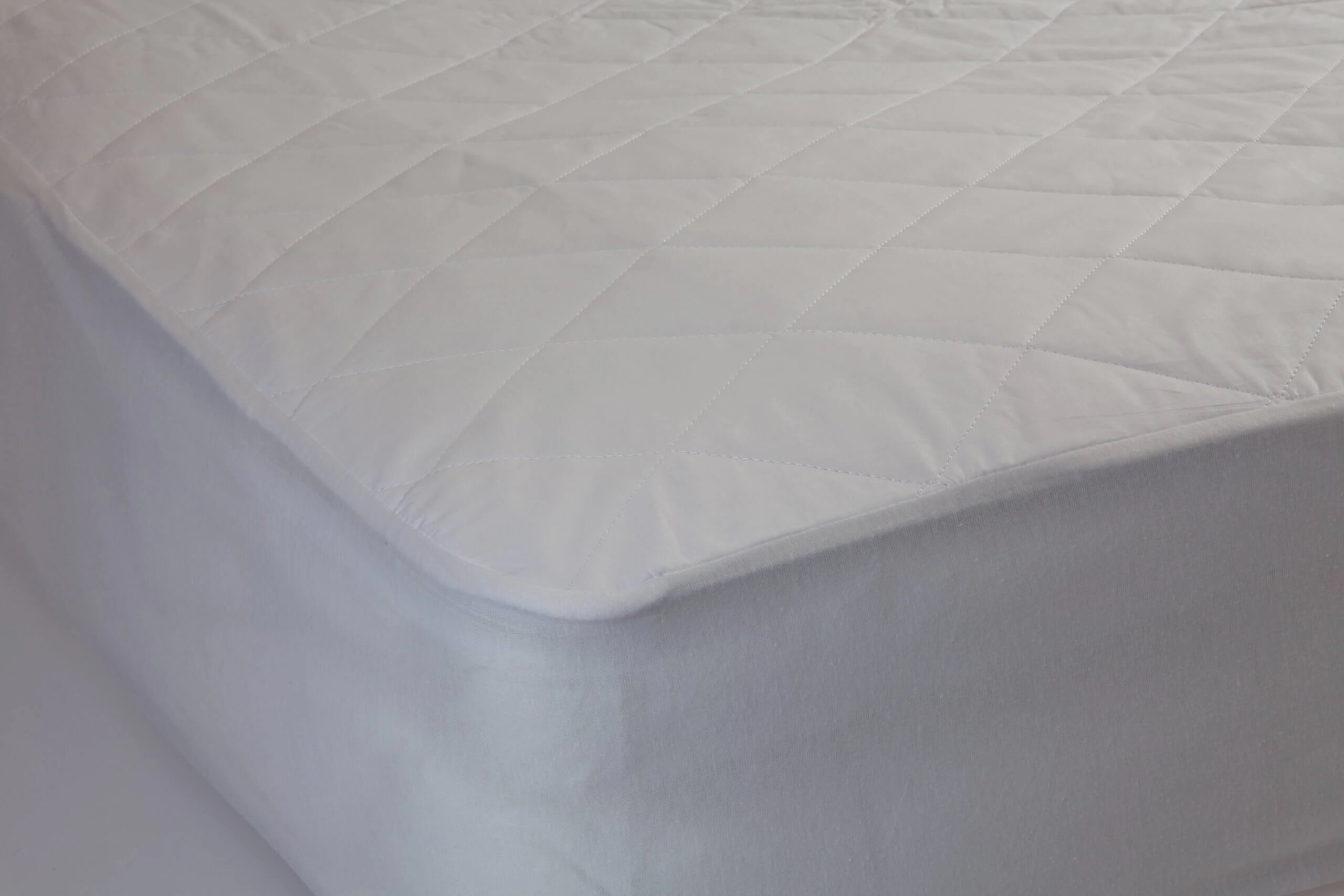 Basics Cotton Mattress Protector by Bambi