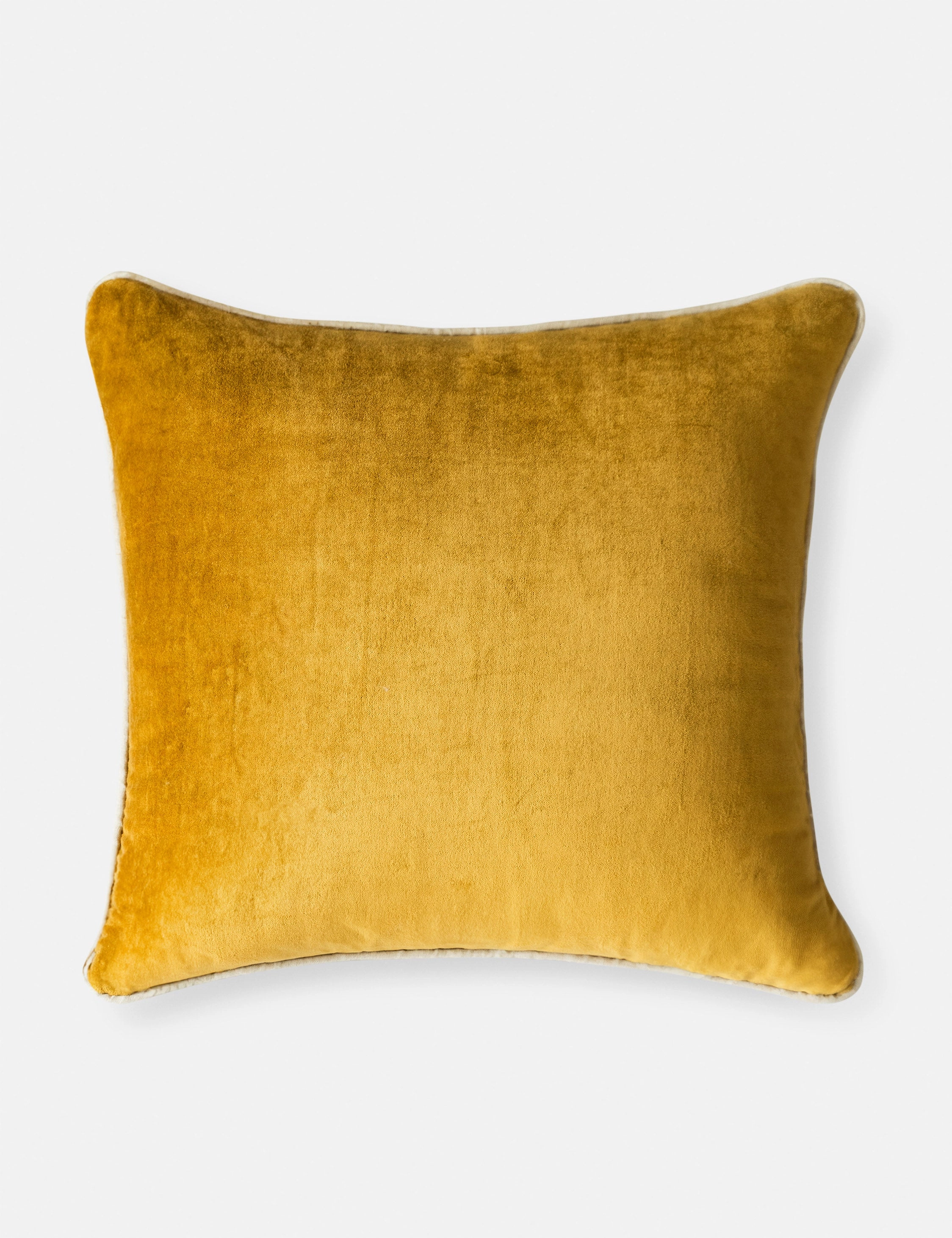 Borroto Velvet Stripe Pillow