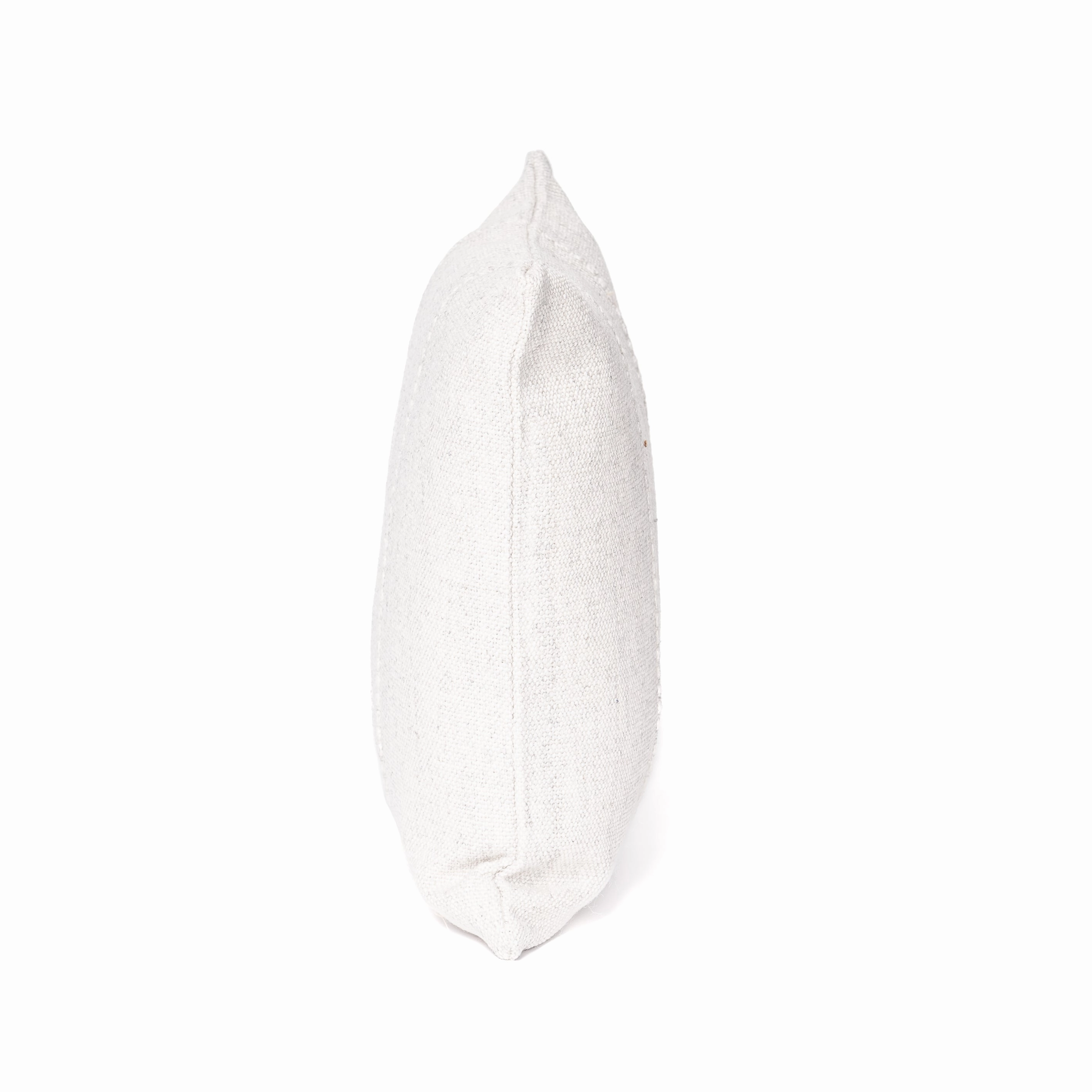 Clemente Outdoor Pillow