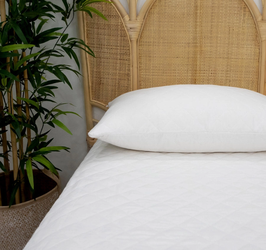 Cool Cotton Standard Pillow Protector