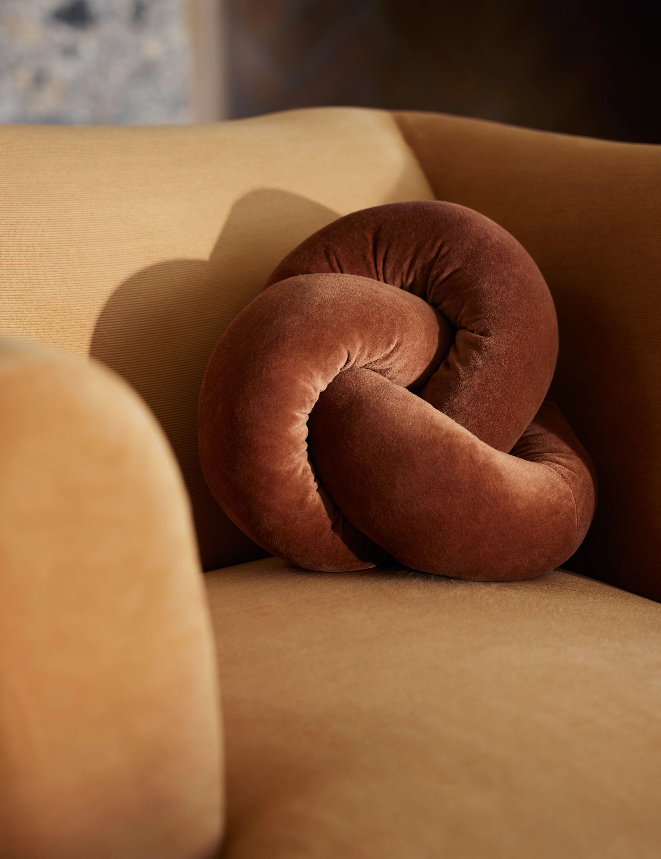 Dewey Velvet Pillow