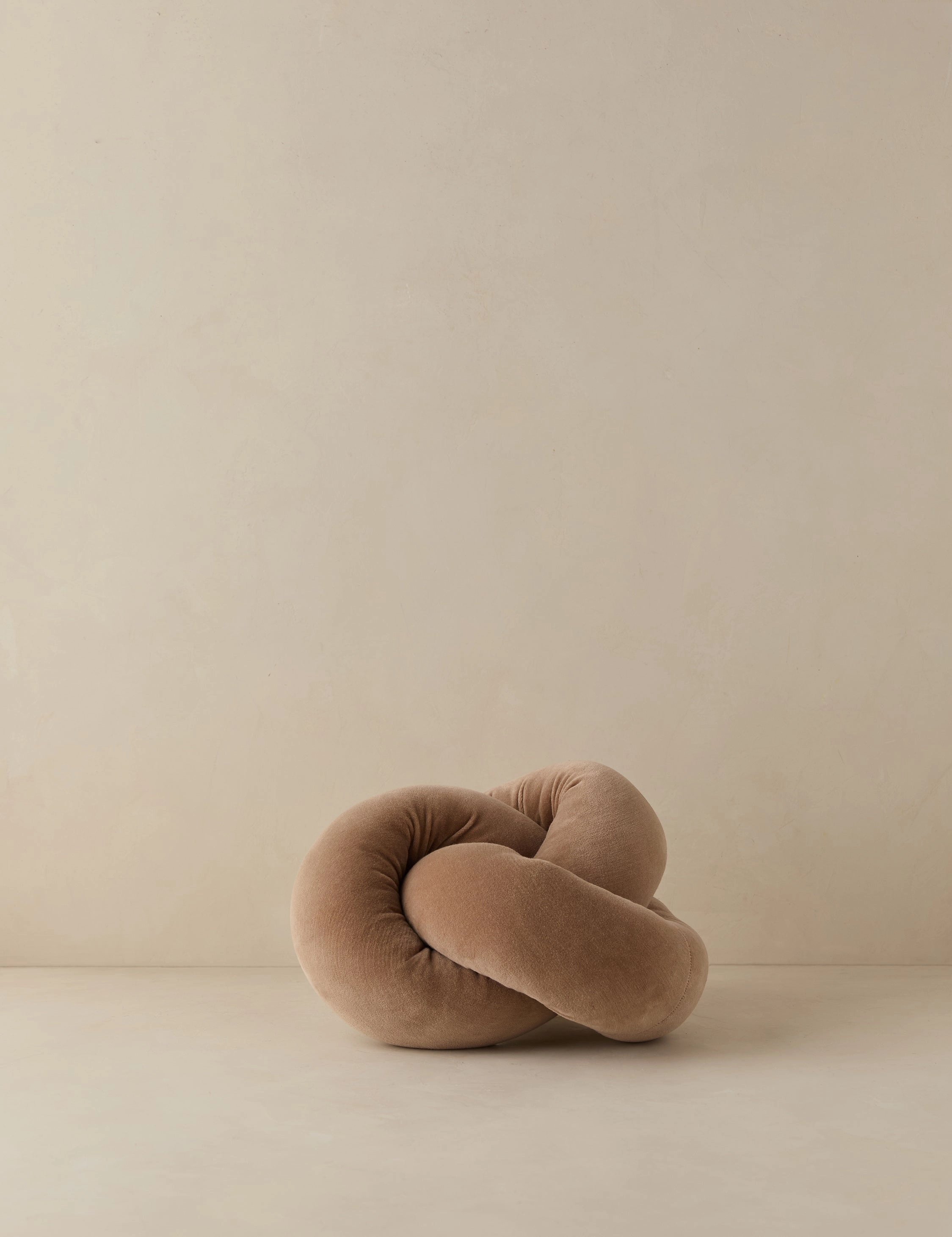 Dewey Velvet Pillow