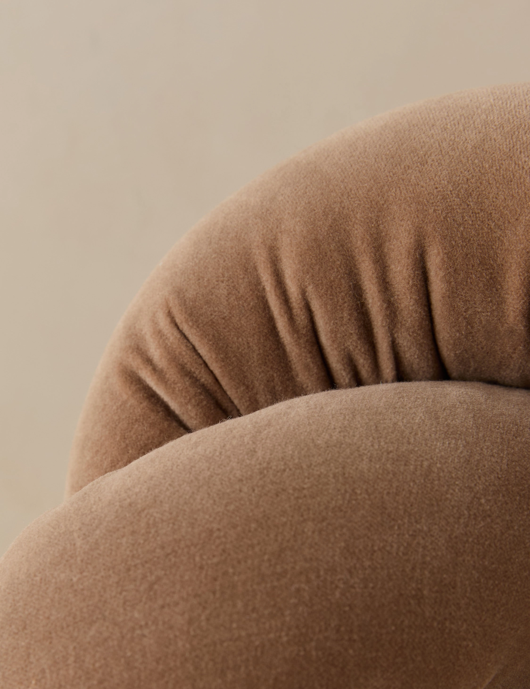 Dewey Velvet Pillow
