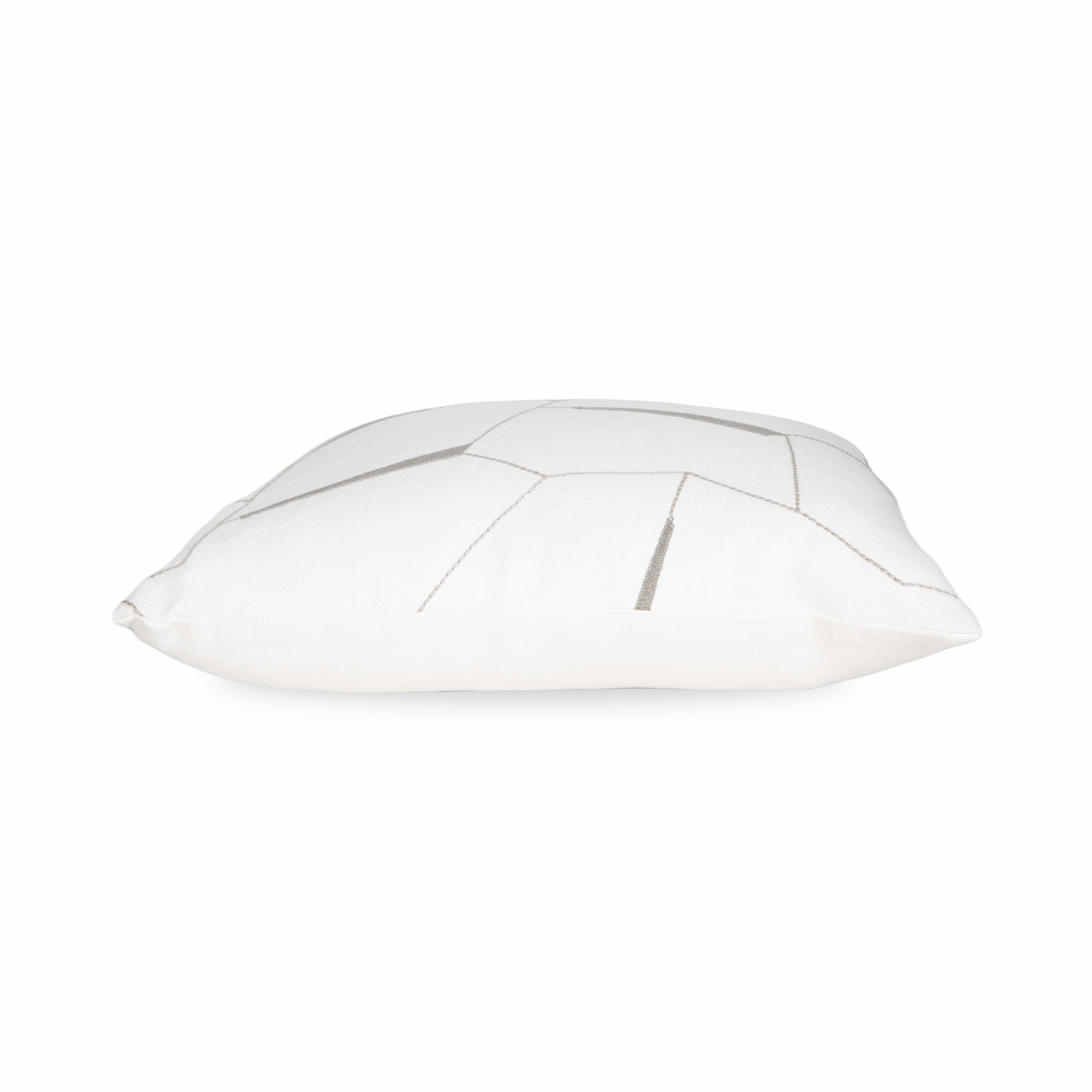 Diverge Pillow