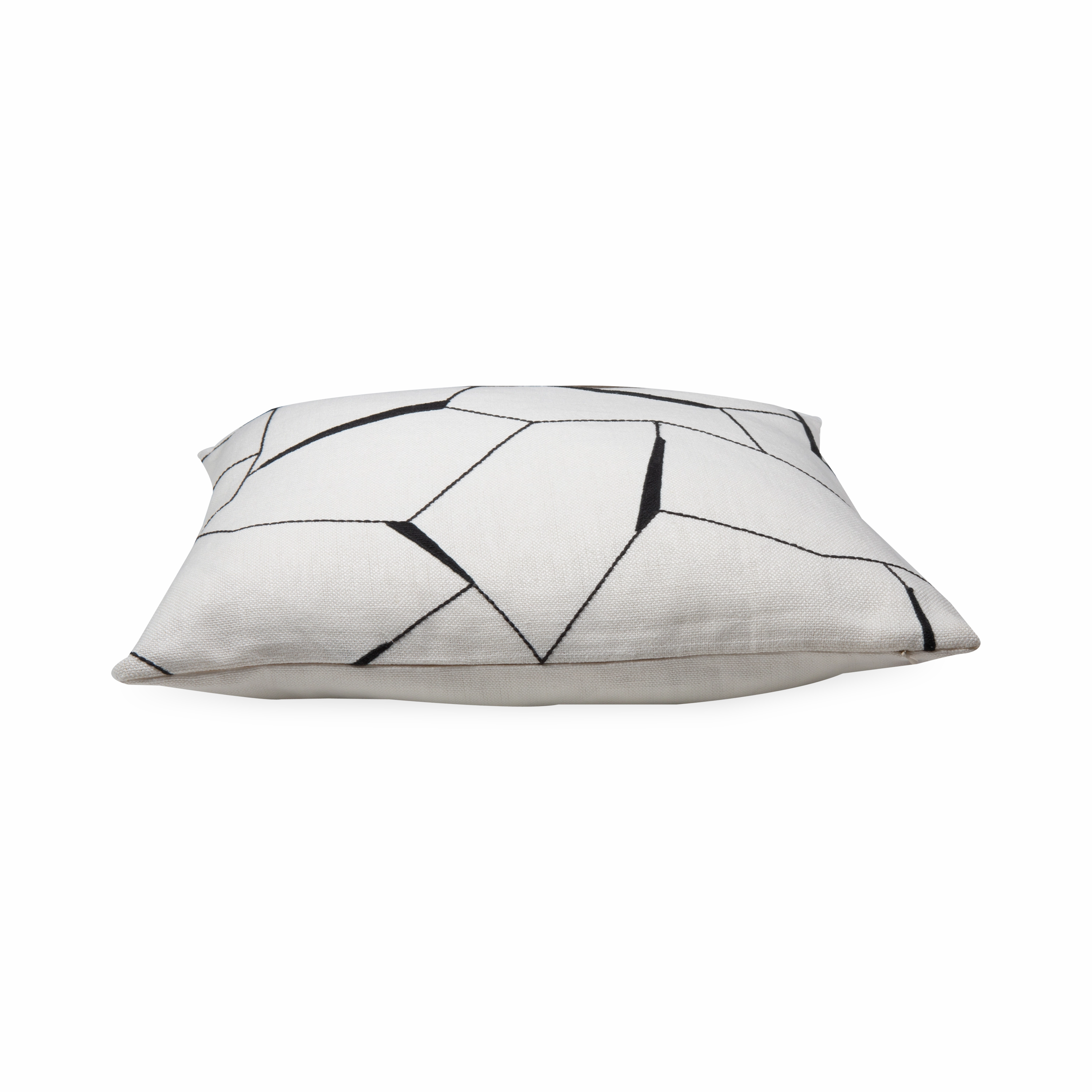 Diverge Pillow