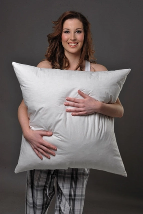 European Size Pillow 95% European Duck Down/5% European Duck Feather 65Cm2