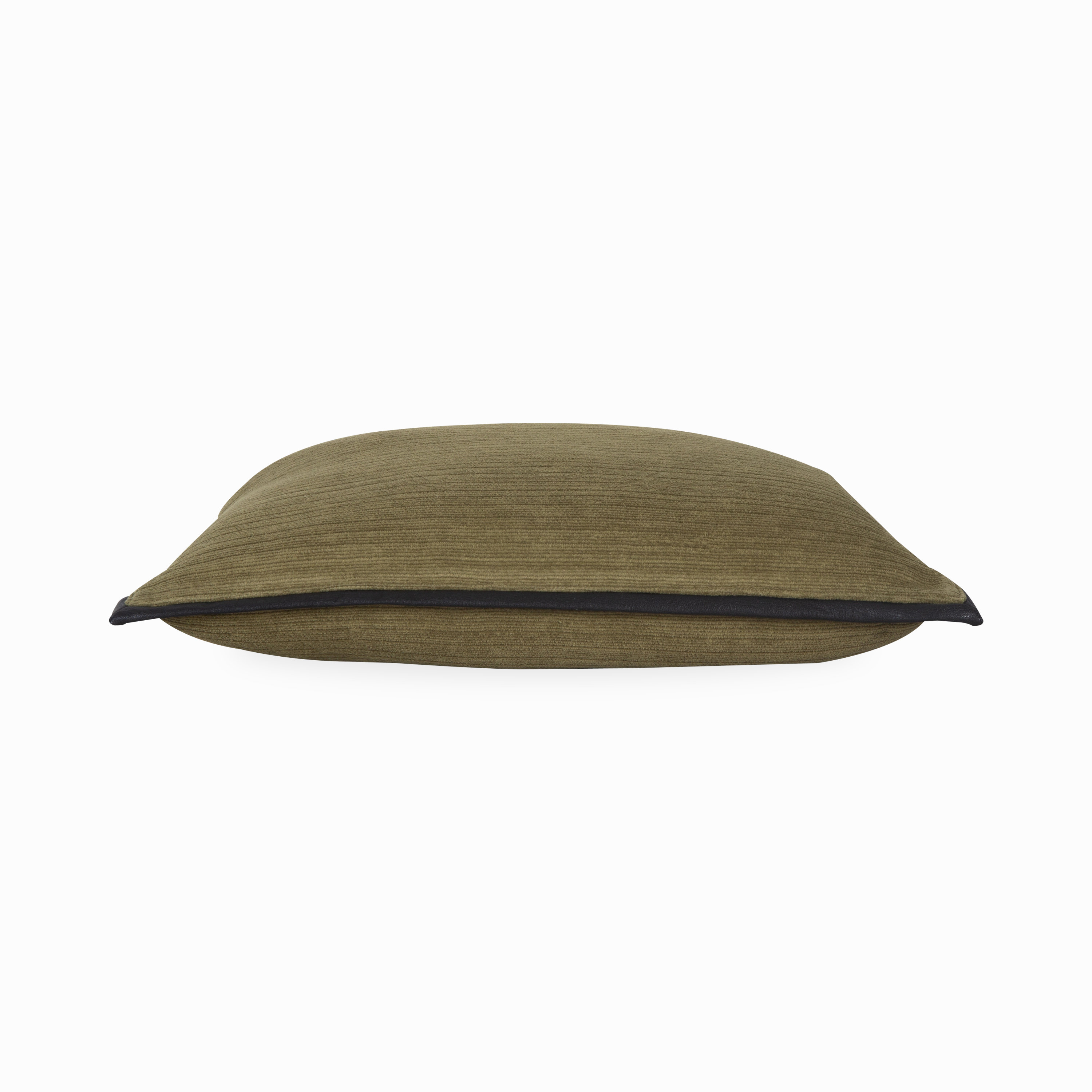 Leather Border Pillow