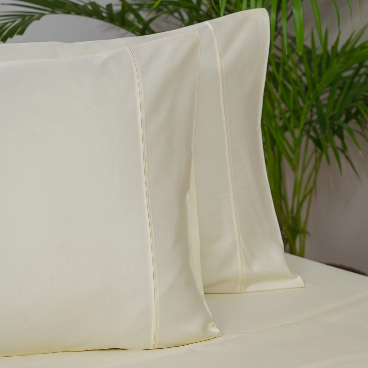 Melina Plain 100% Cotton Extra Soft & Luxurious Bed Sheet With Pillow Covers