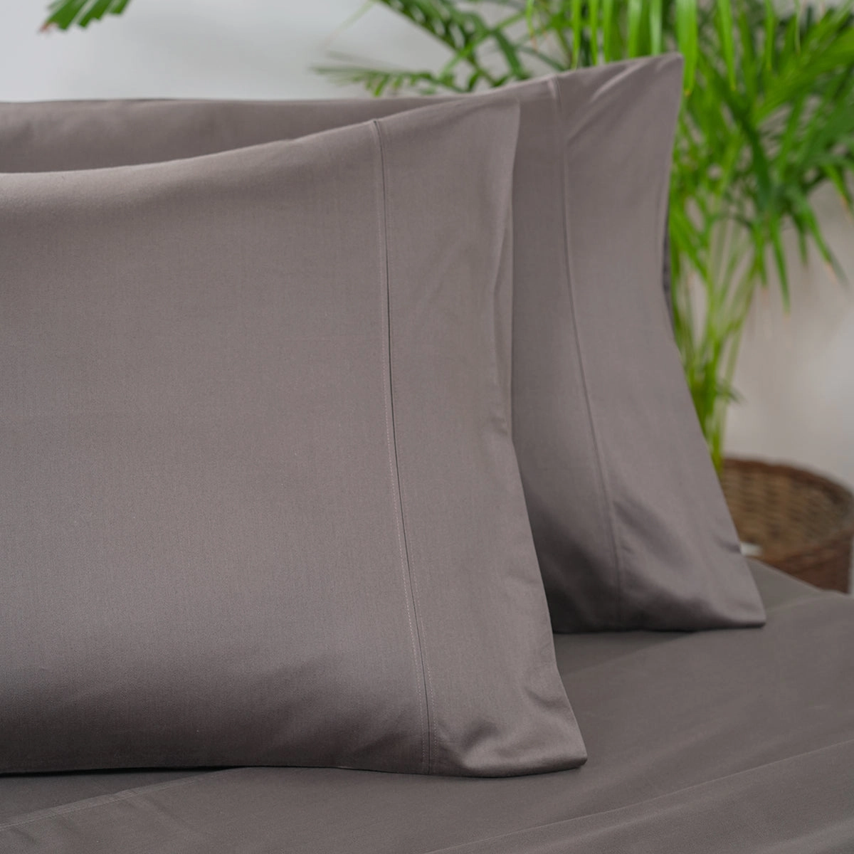 Melina Plain 100% Cotton Extra Soft & Luxurious Bed Sheet With Pillow Covers