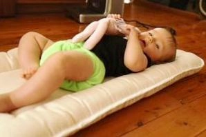 Organic Bassinet Mattress Moses