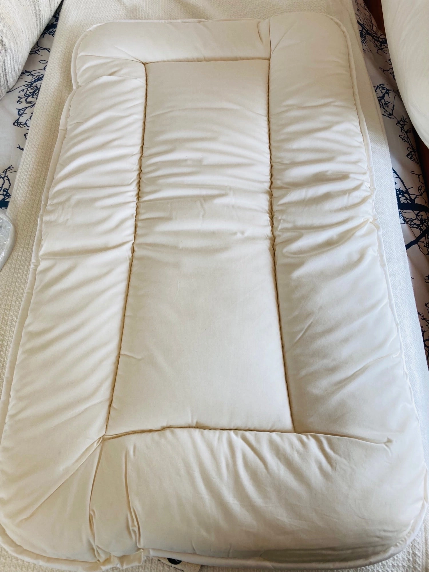 Organic Bassinet Mattress Moses