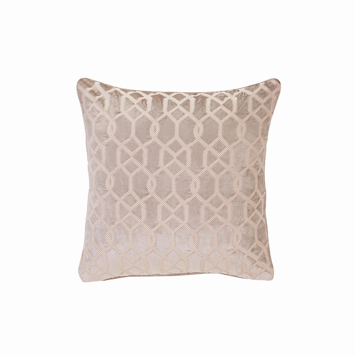 Utopian Regan Allotrope Embroidery Blend Cotton Cushion Cover