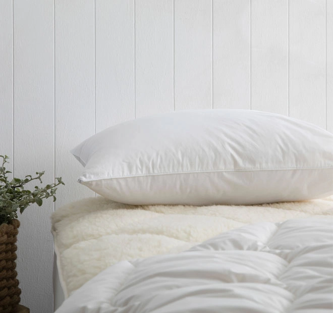 Wool 650g Standard Pillow